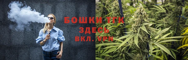 PSILOCYBIN Богородицк
