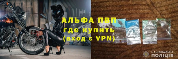 PSILOCYBIN Богородицк