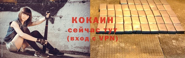 PSILOCYBIN Богородицк